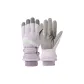 Taro Purple