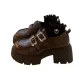 Brown Fall Winter