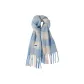 Blue Scarf