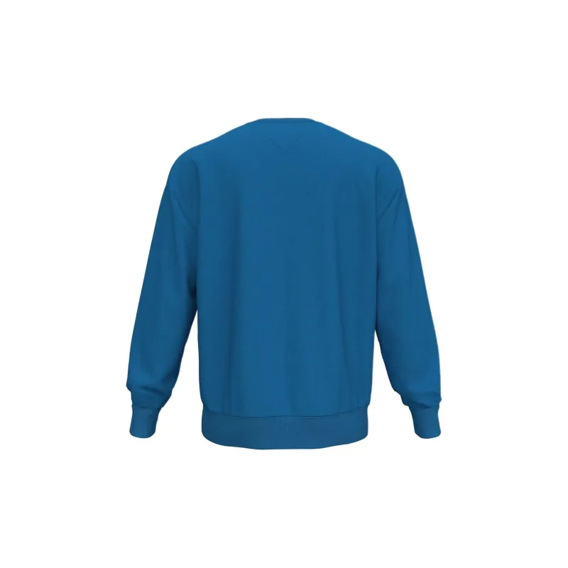 Tommy Hilfiger FW24 Sweatshirt Men's Blue-1