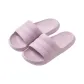 Taro Purple