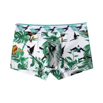 Lan Miao Underpants Men's Combo Set