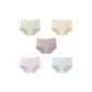MY-3001/Green+Skin+Dark Coffee+Purple+Blue/5 Pack