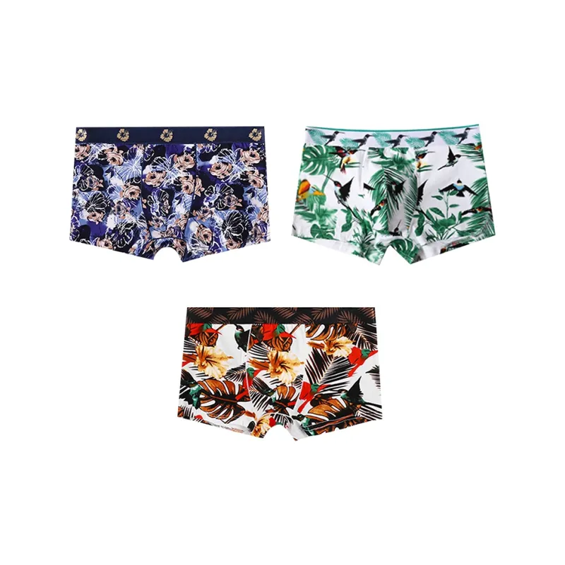 Lan Miao Underpants Men's Combo Set-24