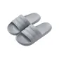 Meteorite Gray