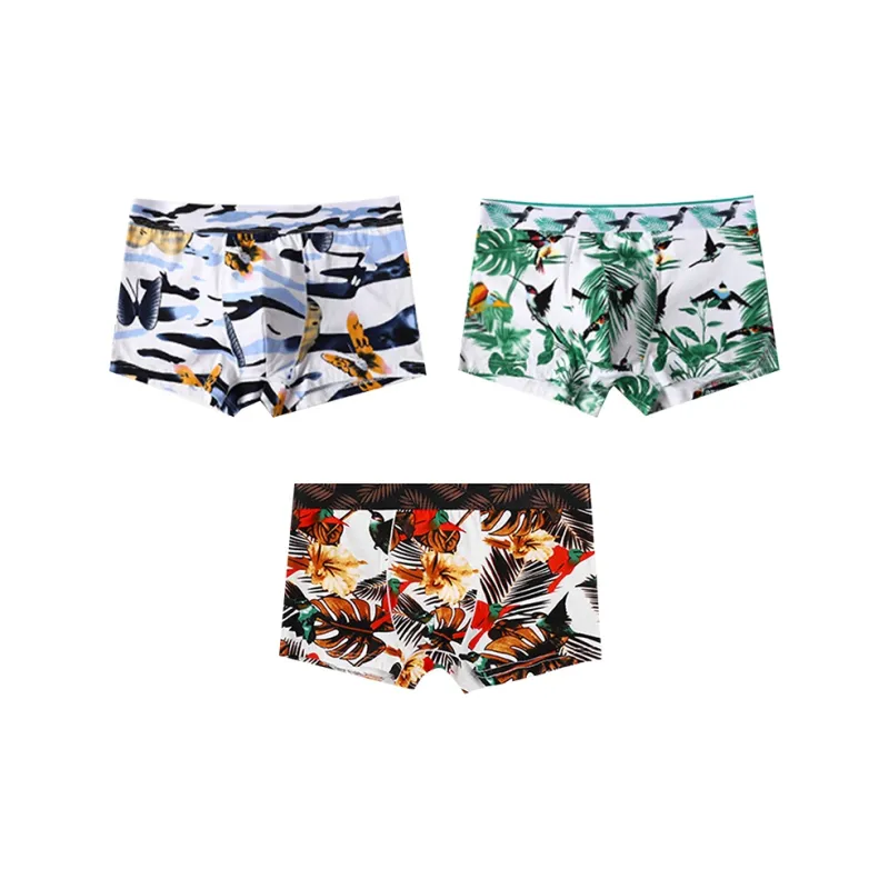 Lan Miao Underpants Men's Combo Set-20