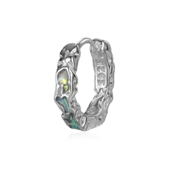 Lang Wind S925 Silver Earrings Unisex