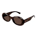 Tortoiseshell