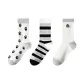 Little Paw All over Print, 1 Wide Horizontal Stripes, 1 Big Paw