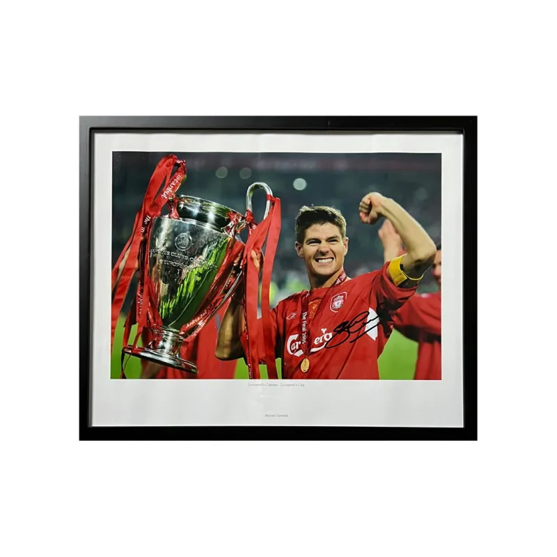 EM Gerald Includes Certification Certificate Outer Frame Size 43.5x53.8cm-0