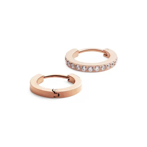 Daniel Wellington Zircon, Alloy Earrings Unisex
