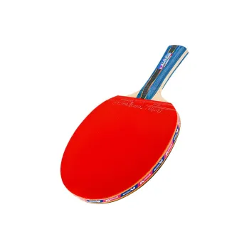 Butterfly Ping Pong Paddles