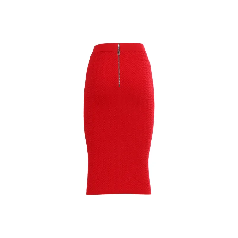 Elisabetta Franchi Chained Midi Skirt-1