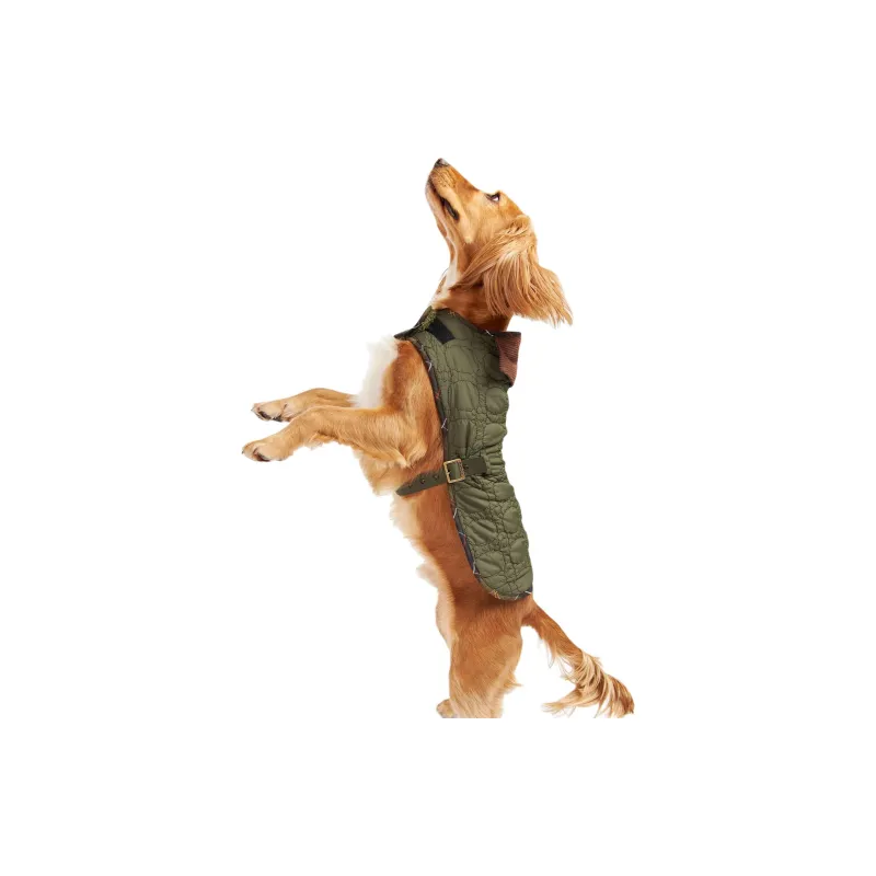 BARBOUR Pet Clothing-2