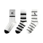 Big Paw Stripes+Wide Horizontal Stripes+Pinstripe