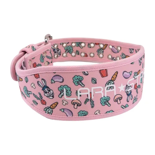 LARA STAR Back Support Braces Breathable Protective Pink Canvas Material Women's