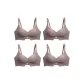 4 Pack (Coffee)