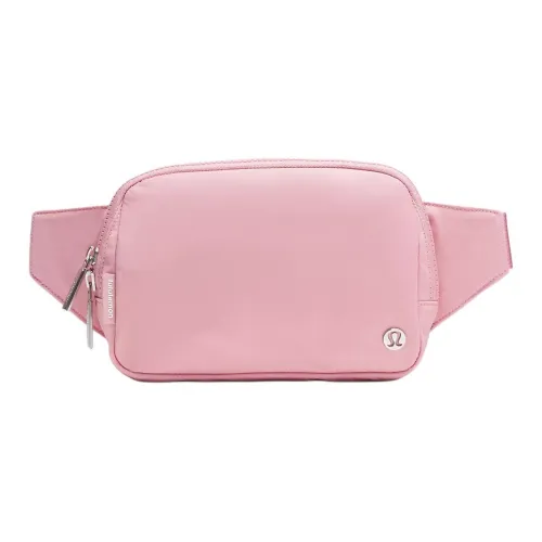 LV dust bag