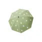 Matcha Green