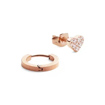 Daniel Wellington Alloy Stud Earrings Unisex