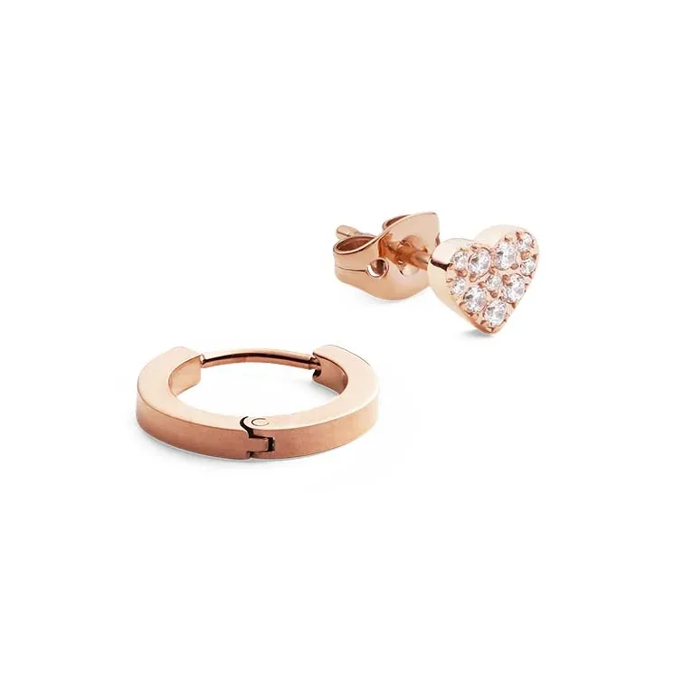 Daniel Wellington Alloy Stud Earrings Unisex-0