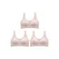 3 Pack (New Elegant Pink)
