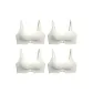 4 Pack (Champagne)