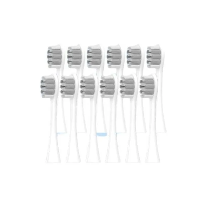 Fly Toothbrush Heads-7