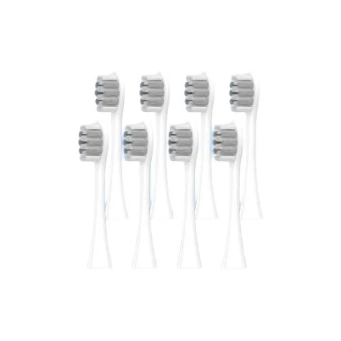Fly Toothbrush Heads-2