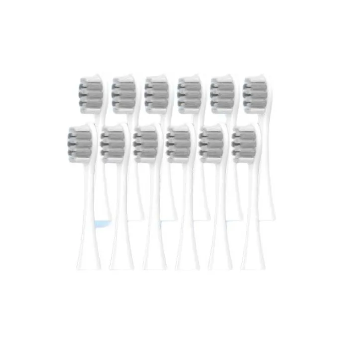 Fly Toothbrush Heads-4
