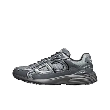 DIOR B30 Low Top Casual Shoes Men's Gray