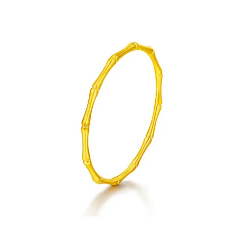 Diamond International Gold Plated/Copper Alloy Bangles Unisex