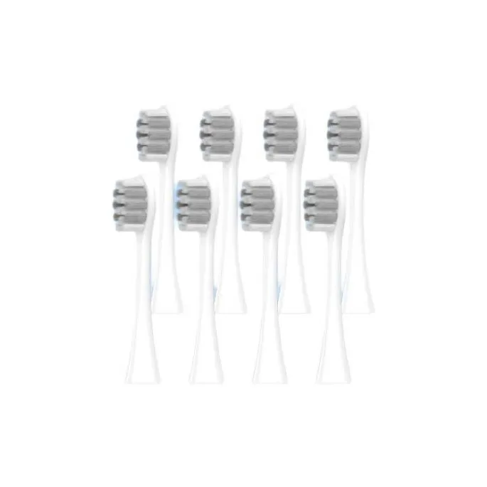 Fly Toothbrush Heads-6