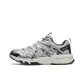 Silver Gray