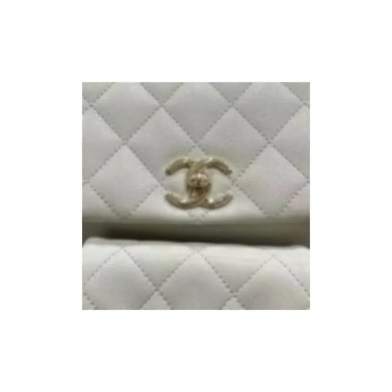 CHANEL Duma Grain Bright Calfskin Backpack Women's Light Gray-1
