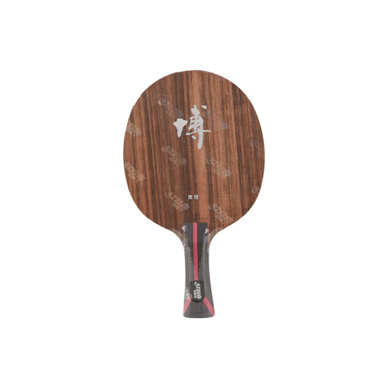 DHS Ping Pong Paddles-0