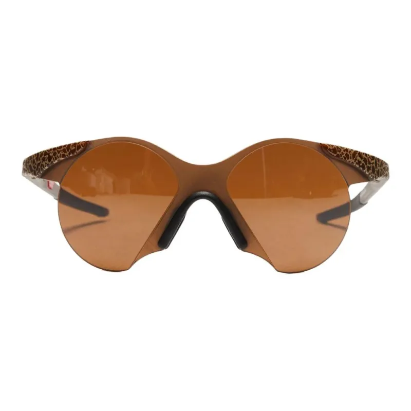 Oakley Frogskins Sunglasses-1