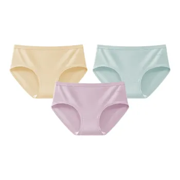 Mushroom Lady's House Underpants Women's 3 Pack