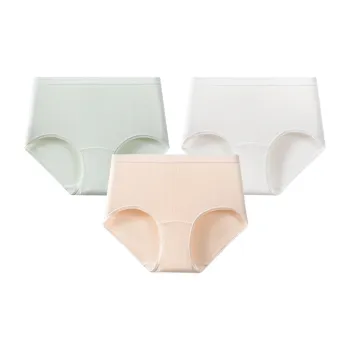 Mushroom Lady's House Underpants Women's 3 Pack