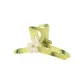 Green Amber