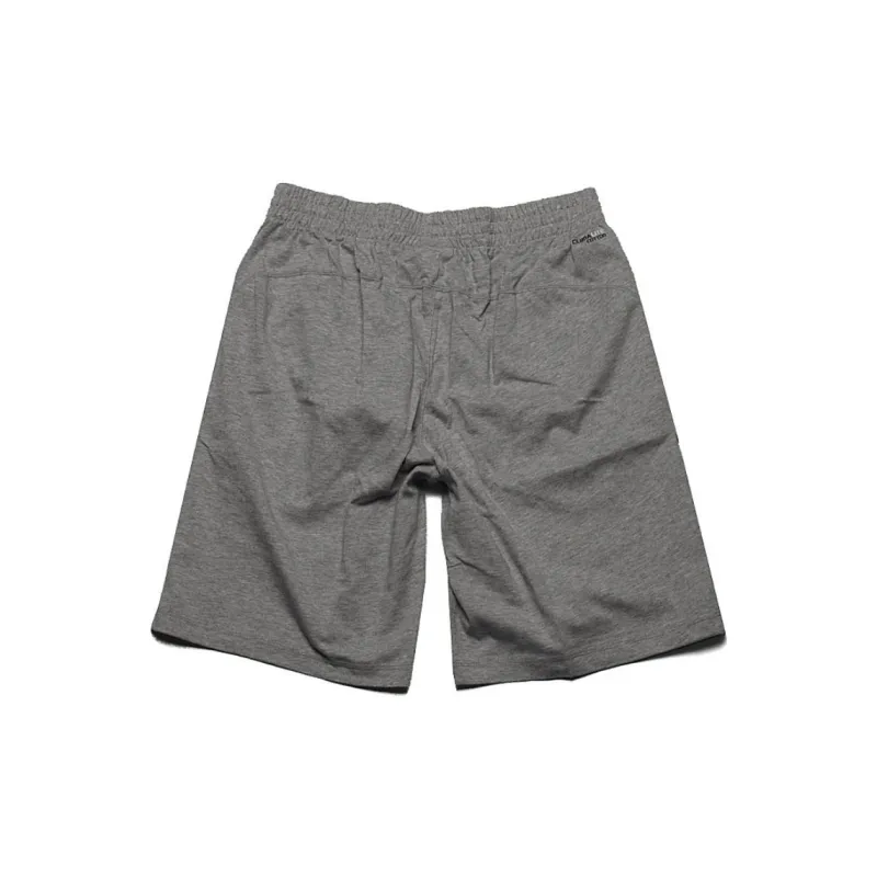 Adidas ESSENTIALSPerformance Casual Shorts Men's Gray-1