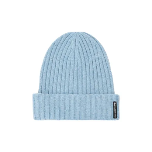 Alexander Wang Logo Flag Tag Ribbed Beanie