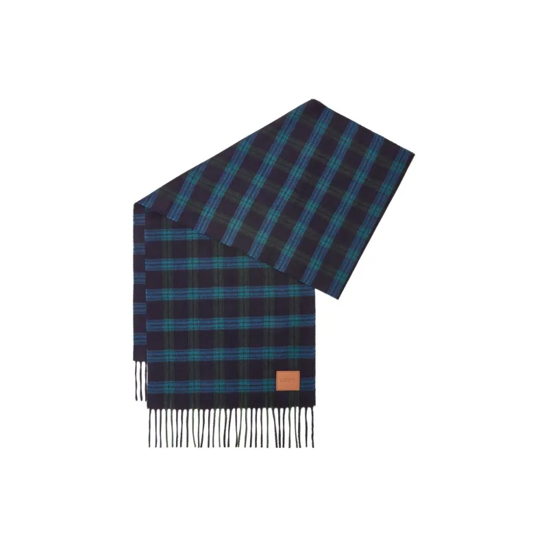 LOEWE Cashmere Knit Scarves Women's Blue-0