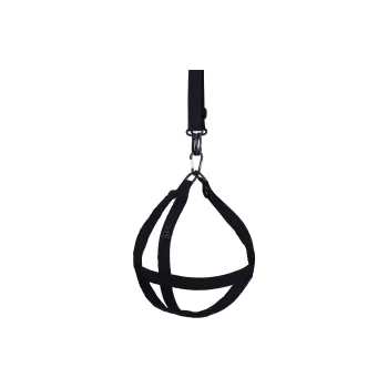 SPALDING Basketball Bags / Basketball Nets
