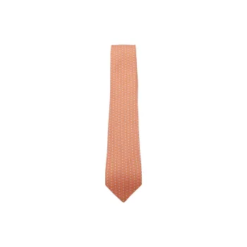 Ferragamo Gancini Printed Tie