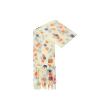LOEWE Wool Knit Scarves Women's Multicolor