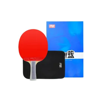 DHS Ping Pong Paddles