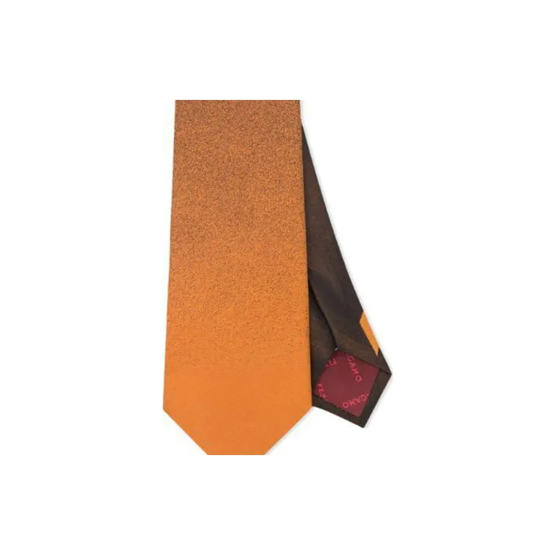 Ferragamo Nuanced Silk Jacquard Tie-2