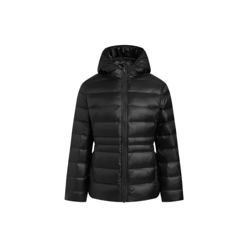 Hush Puppies Down Jacket Women's