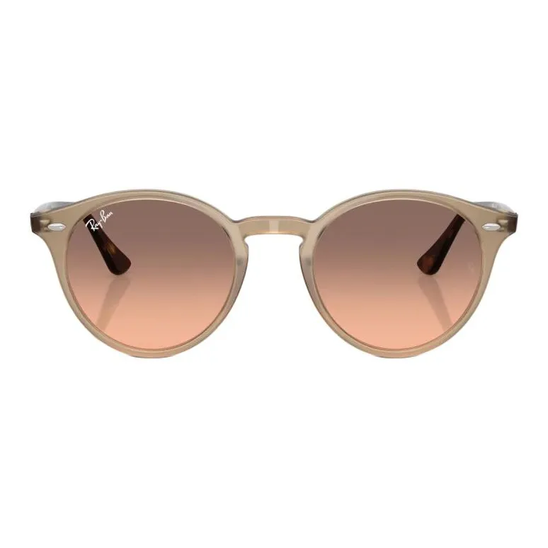 RayBan Sunglasses-1